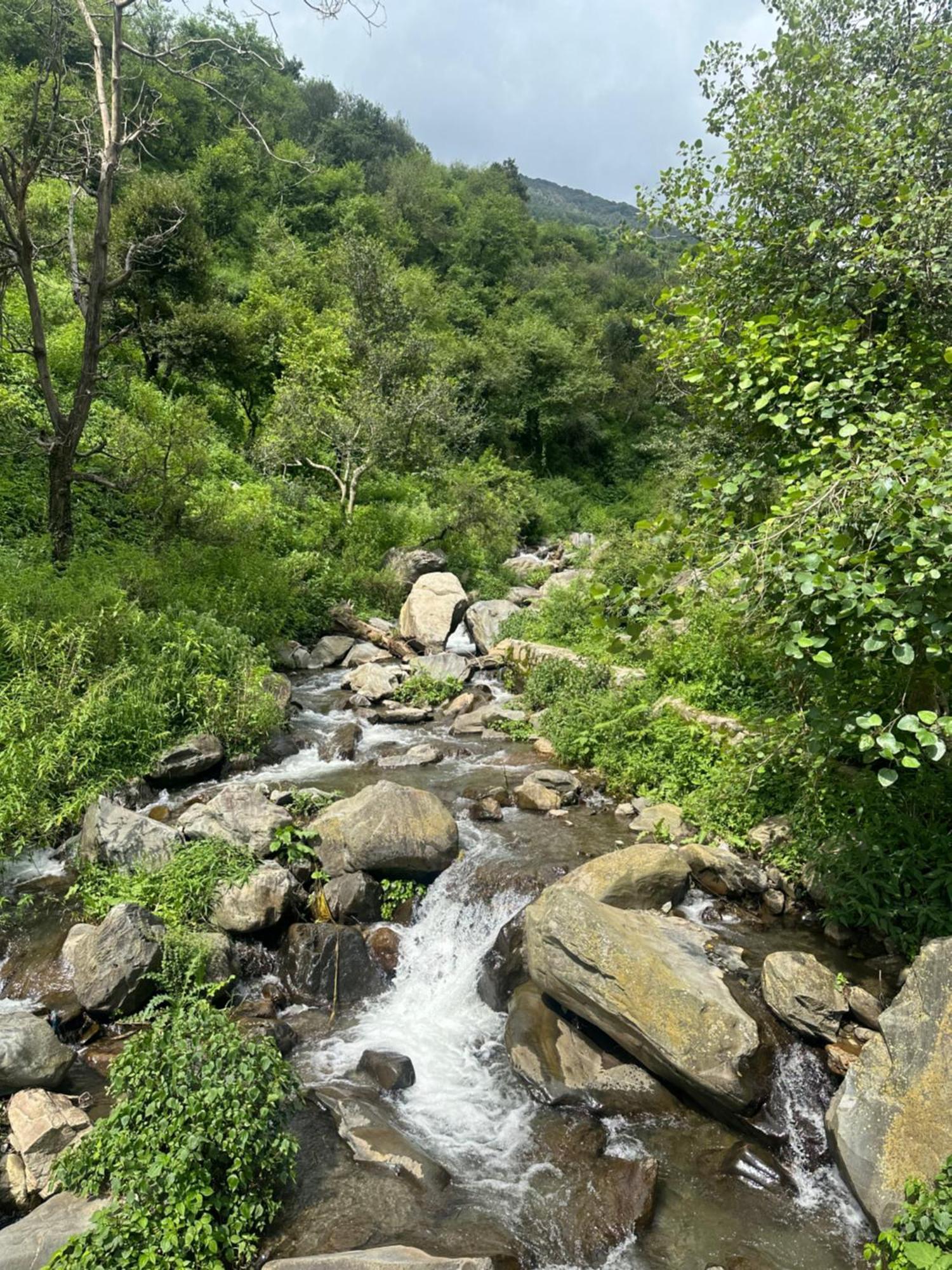 Deodar Village Homestay Devalsari Mussoorie Ngoại thất bức ảnh