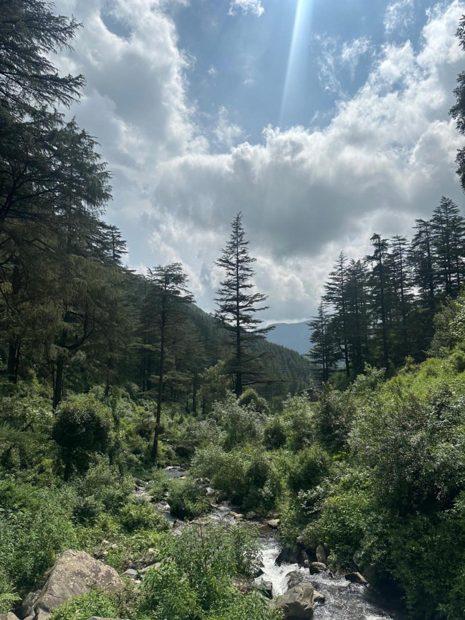 Deodar Village Homestay Devalsari Mussoorie Ngoại thất bức ảnh