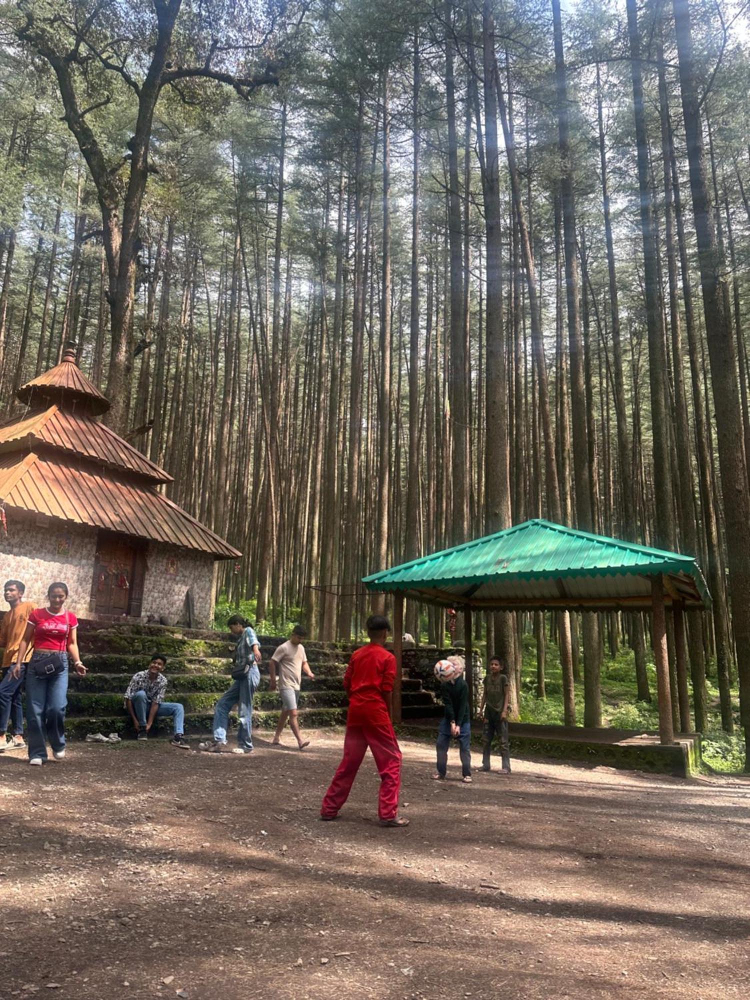 Deodar Village Homestay Devalsari Mussoorie Ngoại thất bức ảnh